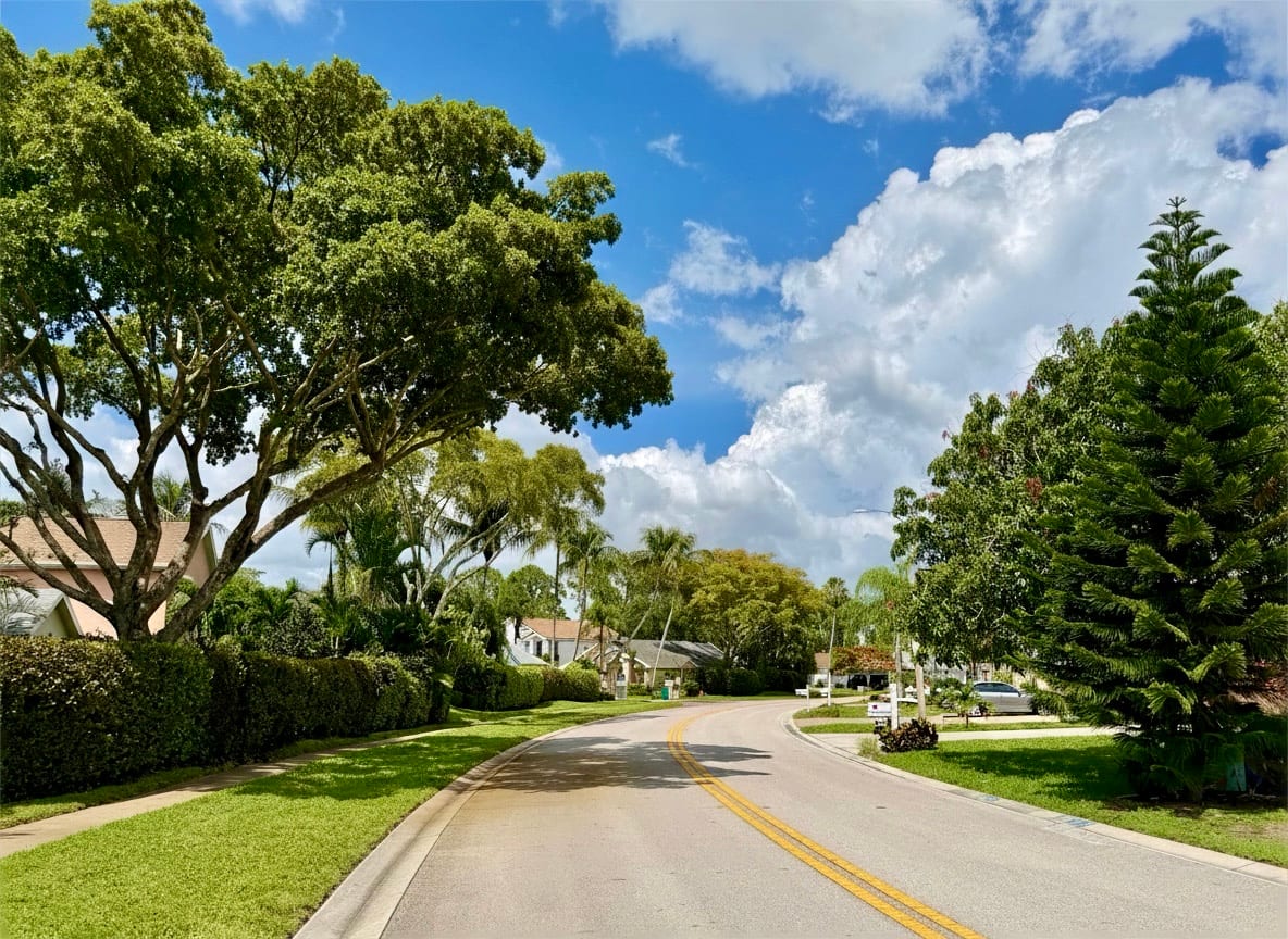 A quiet, tree-lined Queen's Park street curving past single-family homes in East Naples — a mature oak canopy on the left, a tall Norfolk pine on the right, under a blue Florida sky.